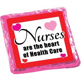 Nurse's Day - Chocolate Covered Graham Crackers - 12 piece