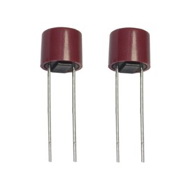 Micro Fuse Small Fuse Fuse TR5 Slow 250V 2.5A Pack of 2 (0058)