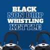 Premium Stainless Steel Whistling Kettle | 10 Colors | Stove