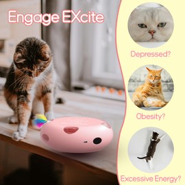 Scsuupoee Interactive Cat Toy, Electric Cat Toys for Moving Concealed Feathers, Smart Sensor 7 Holes Whack a Mole Feather Toy, USB Charge Automatic Kitten Toys, Pink