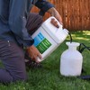 Advanced 16-4-8 Lawn Fertilizer - Liquid Lawn Food Spring &