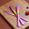 Rainbow Dinner Knives Set Of 4, Berglander Stainless Steel Titanium