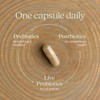 New Chapter All-Flora Probiotic for Advanced Digestion & Complete Gut