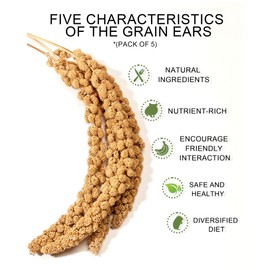 Niteangel Natural & Soft Hamster Bedding Mate Small Animal Habitat Decor for Syrian Dwarf Hamsters Gerbils Mice Degus Bird or Other Small-Sized Pet (Golden Harvest Version)