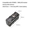 DF DIGITALFOTO NPF3-SE Dual-Side NPF Dummy Battery with Type-C&D-Tap Input