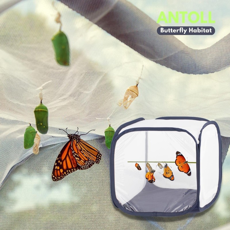 Antoll 3Pcs 12" S Size Blue Butterfly Habitat Cage, Monarch