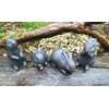 London Ornaments Rabbits set of 4