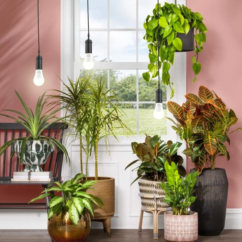 mfxmf 6 Pack LED Grow Light Bulb A19 Bulb, Full