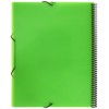 grafoplas 39832220 – 20 Pockets Folder, A4, Tapas, PP Green