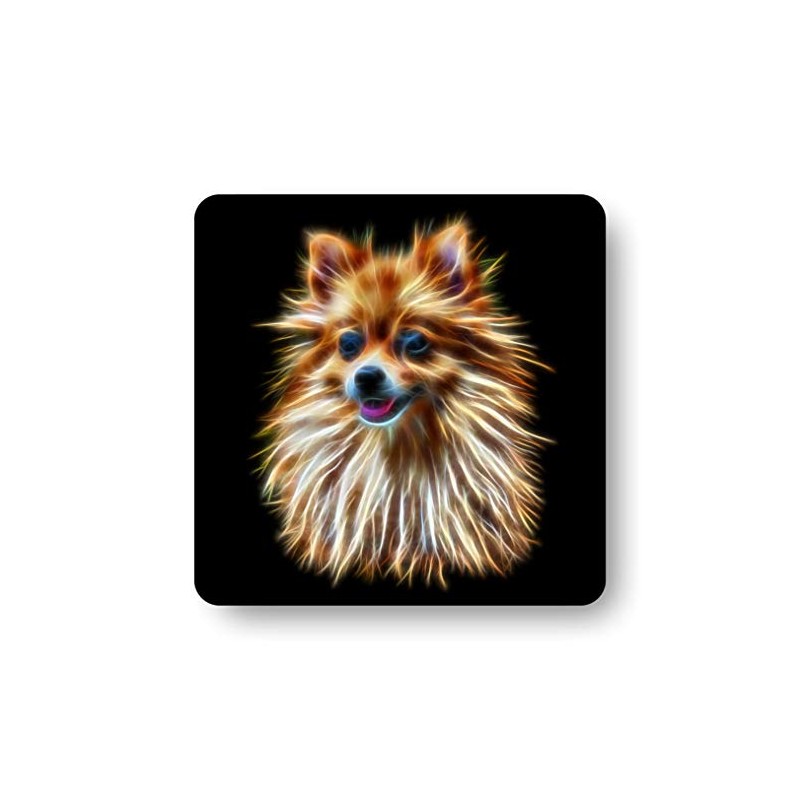 Fractal Artworks Pomeranian Coaster with Fractal Art Design #1-2. Perfect
