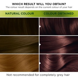 Garnier Nutrisse Ultra Color, Permanent Hair Dye, Intense Colour, For All Hair Types, 5.25 Frosted Chestnut, Brown