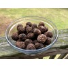 BLACK WALNUTS: 5lbs Fresh Organic 2025 Harvest, Naturally Grown in