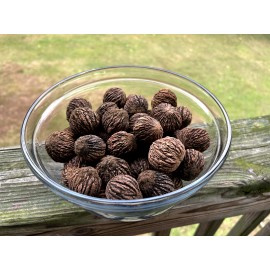 BLACK WALNUTS: 5lbs Fresh Organic 2025 Harvest, Naturally Grown in Maryland.