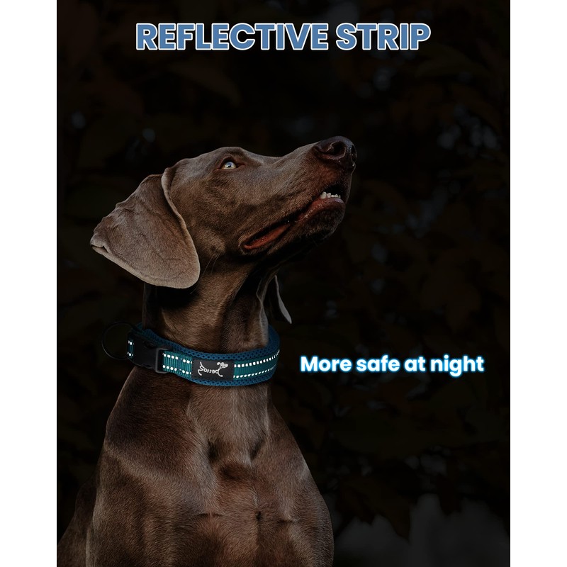 Kaka Mall Adjustable, Breathable, Reflective Nylon Dog Collar