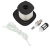 Blower Air Filter Fuel Filter Spark Plug Kit Set for