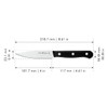 HENCKELS Solution Razor-Sharp 4-inch Compact Chef Knife, German Engineered Informed