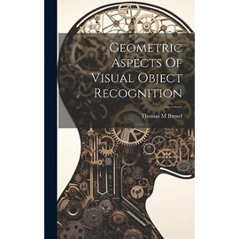 Geometric Aspects Of Visual Object Recognition