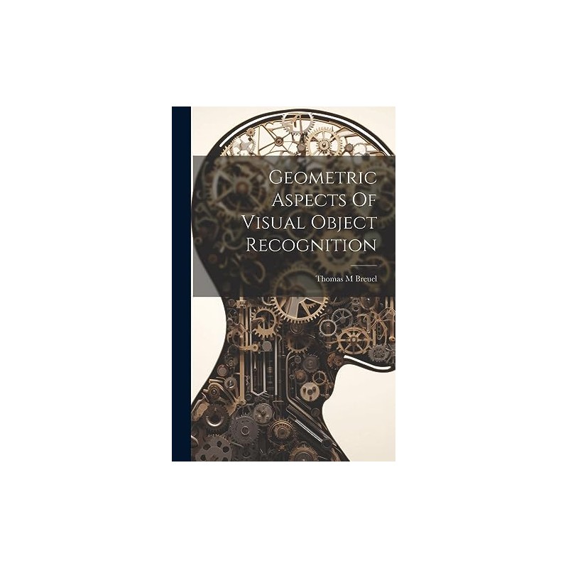 Geometric Aspects Of Visual Object Recognition