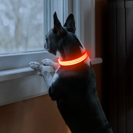 PZRLit Light Up Dog Collars Rechargeable, Reflective LED Glow Dark Dog Collar for Small Medium Large Dogs, Adjustable Pet Dog Lights for Safe Night Walk-Orange, Large
