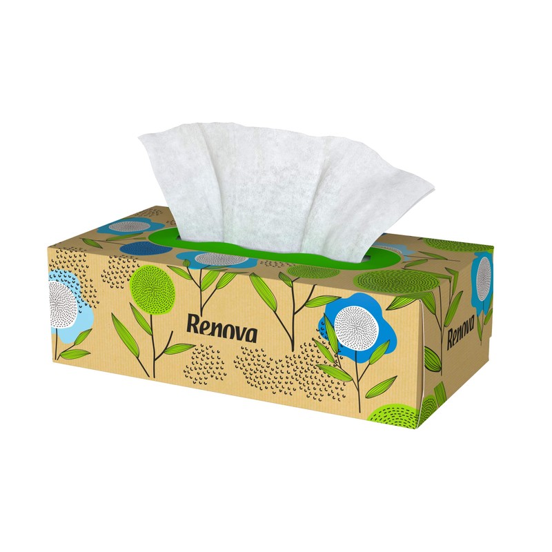 Renova Renova Recycled Facial Tissues | Box of 72 Tissues
