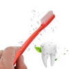 Healeved 10pcs Large Head Travel Toothbrushes for Adults Firm Plastic
