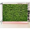 Artificial Leaves Photography Background Fabric Birthday Party Decoration Backdrop