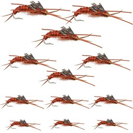 The Fly Fishing Place Bead Head Nymph Fly Fishing Flies - Kaufmann's Brown Stone Fly with Rubber Legs - Stonefly Wet Fly - 12 Flies Hook Size 10