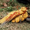 Boundless Voyage Ultra-Light Titanium Alloy Tent Pegs 5.9/6.5 inches (15/16.5