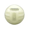 Fancy Pets Juguete Pelota Glow para Perro Que Brilla en
