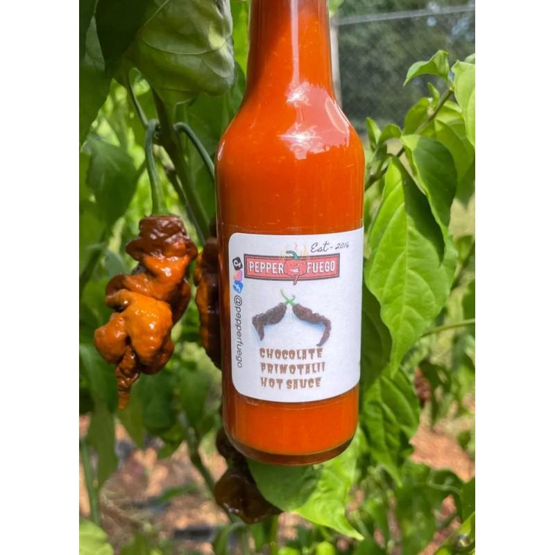 Pepper Fuego Chocolate Primotalii Hot Sauce