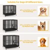 DWVO Heavy Duty Dog Crate, 38 Inch Escape-Proof Dog Cage