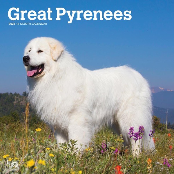 Great Pyrenees | 2025 12 x 24 Inch Monthly Square
