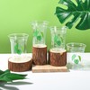 AimFun Tropical Palm Leaf Plastic Cups Summer Hawaii Disposable Party