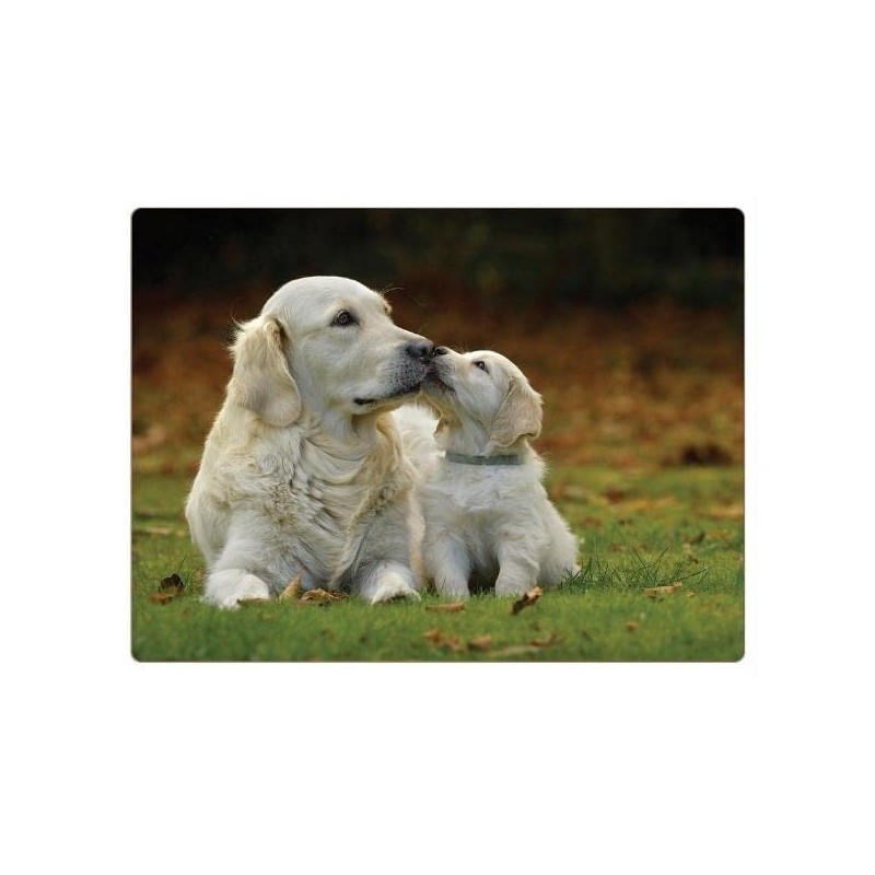 Rural Roots Golden Retrievers Placemat Pack Of 4