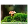 Mushrooms - Little Giants (Wall Calendar 2025 DIN A4 Landscape),