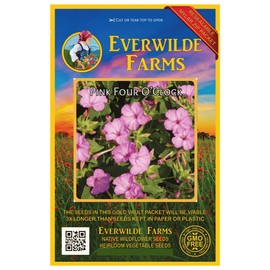 Everwilde Farms - 50 Pink Four O' Clock Wildflower Seeds - Gold Vault Jumbo Seed Packet