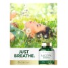 Bacopa Monnieri 2000 Mg Suplemento Sin Gluten 180 Capsulas Sabor