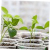 Mipcase 50Pcs Hydroponic Plants Insulation Covers Transparent Planting Covers for