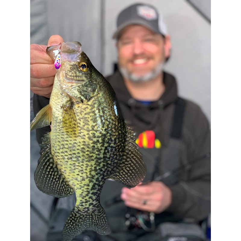 Northland Tackle BRCS5-60 Buck-Shot Coffin Spoon 3/8 OZ Uv Electric