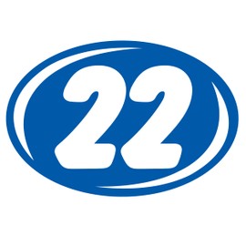 Bold Year Model Signs Black and Chartreuse, Oval, Adhesive Windshield Year Model Sign, Durable, Waterproof Vinyl EZ-Line EZ226 (White Blue, 2022)