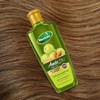 Hashmi Amla Plus Aceite para el Cabello con Sésamo y