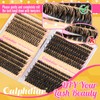 Calphdiar Lash Clusters 40D+60D+80D+100D Eyelash Clusters 474PCS Individual Lashes D