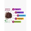 Ceylon Rustic Savour Organic Whole Cloves 3.5 oz – USDA