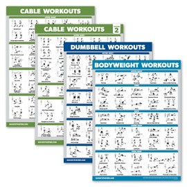 Palace Learning 4 Pack - Cable Machine Workout Posters Volume 1 & Volume 2 + Dumbbell Exercises + Bodyweight Exercises (LAMINATED, 18" x 24")
