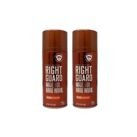 Right Guard - Made For Hard Work - 8.5 Ounce Aerosol Original 24Hr Deodorant (251ml) (Pack of 2)