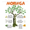 Moringa Líquida Bebida Sheló Nabel Rico Vitamina 2 Pz S605-2