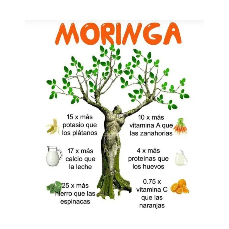 Moringa Líquida Bebida Sheló Nabel Rico Vitamina 2 Pz S605-2