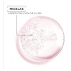 Agua Micelar SkinActive Todo en 1 Facial Garnier 100ml –