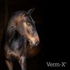 Verm-X kräuterflüssigkeit Für Pferde & Ponies-500 Ml, Clear, Unisex