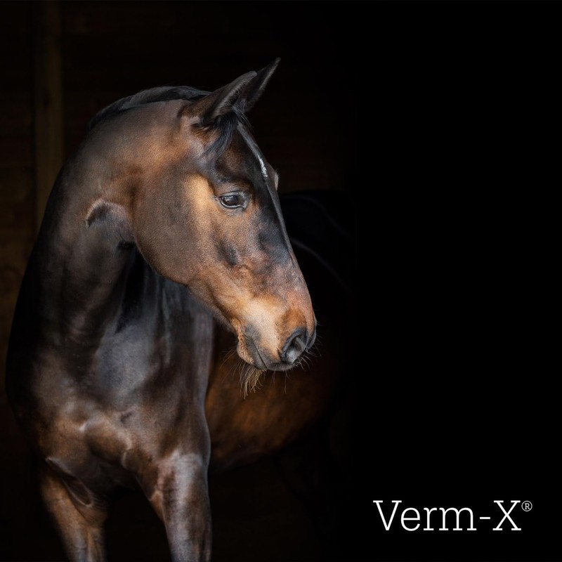 Verm-X kräuterflüssigkeit Für Pferde & Ponies-500 Ml, Clear, Unisex